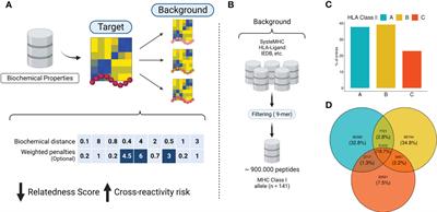 CrossDome: an interactive R package to predict cross-reactivity risk using immunopeptidomics databases